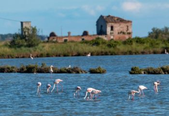 delta-del-po-veneto